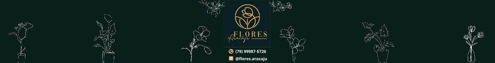 @flores.aracaju